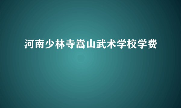 河南少林寺嵩山武术学校学费