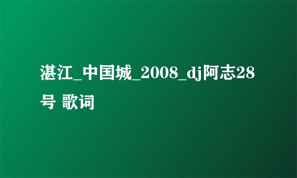 湛江_中国城_2008_dj阿志28号 歌词