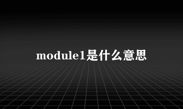 module1是什么意思
