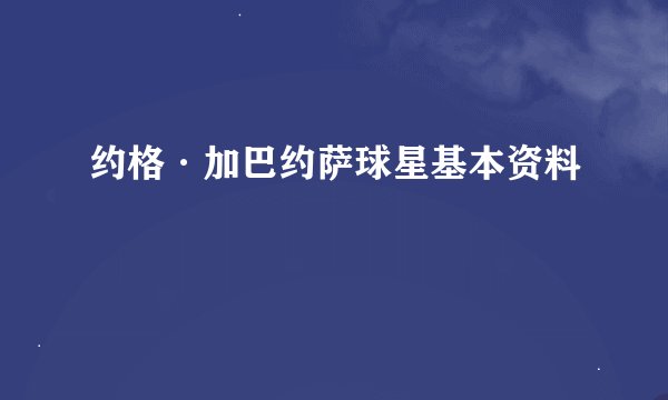 约格·加巴约萨球星基本资料