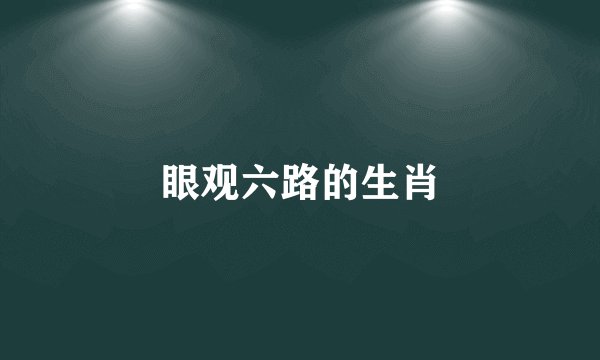 眼观六路的生肖