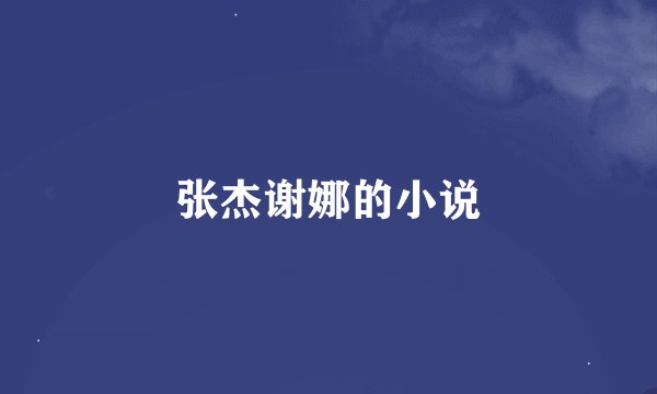 张杰谢娜的小说