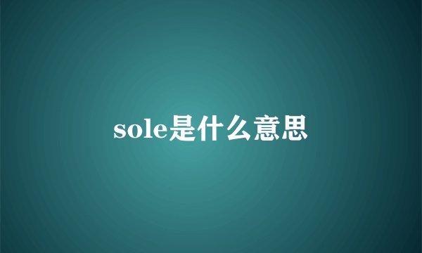 sole是什么意思