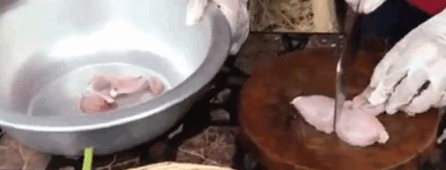 怎么杀青蛙？