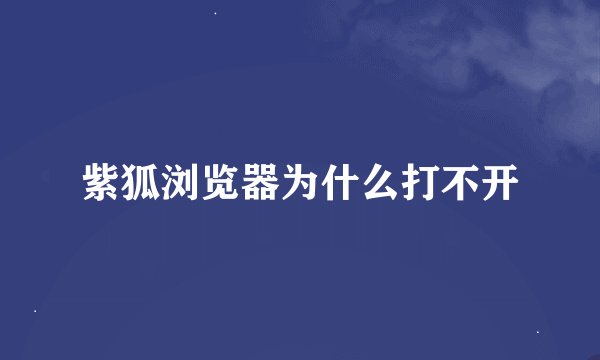 紫狐浏览器为什么打不开