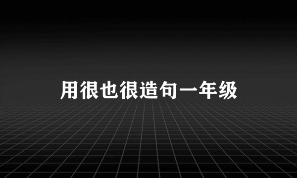 用很也很造句一年级