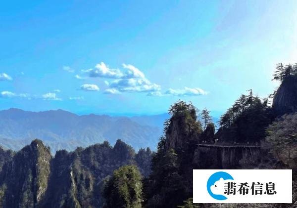 校友会2024中国大学采矿工程专业排名，中国矿业大学、黑龙江工业学院第一
