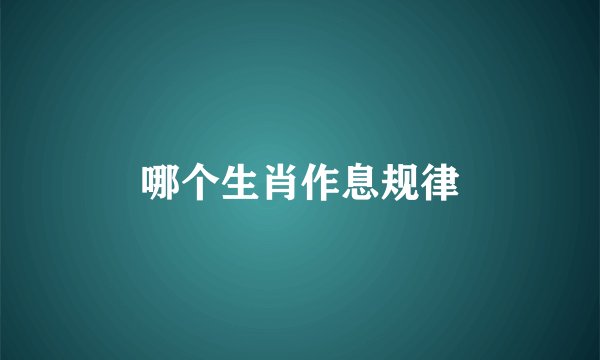 哪个生肖作息规律