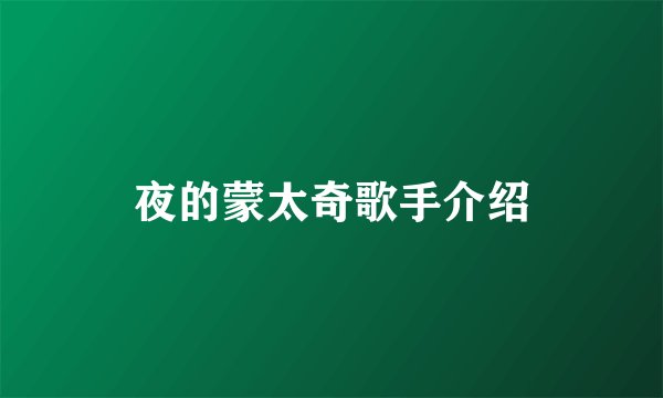夜的蒙太奇歌手介绍