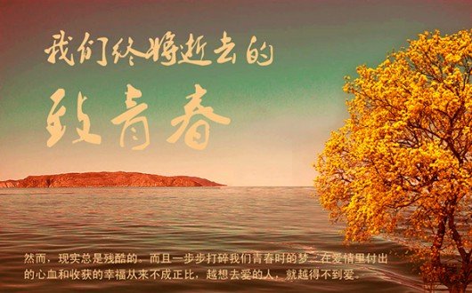 求一些类似《那些年,我们一起追的女孩》的电影啊