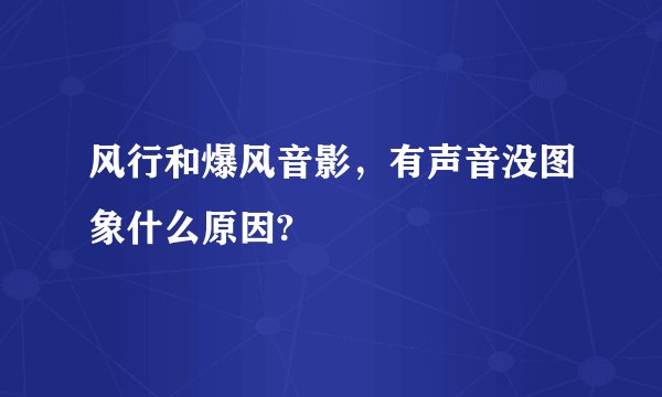 风行和爆风音影，有声音没图象什么原因?