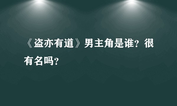《盗亦有道》男主角是谁?很有名吗?