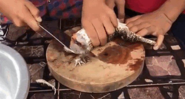 怎么杀青蛙？