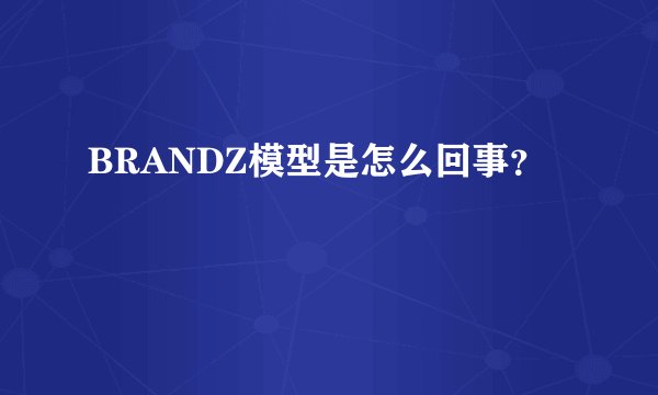 BRANDZ模型是怎么回事？