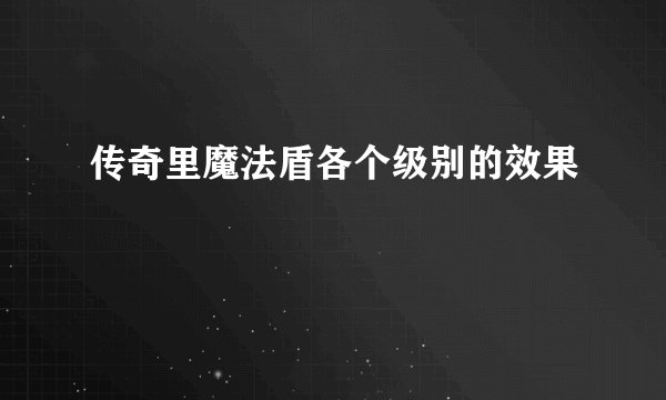 传奇里魔法盾各个级别的效果