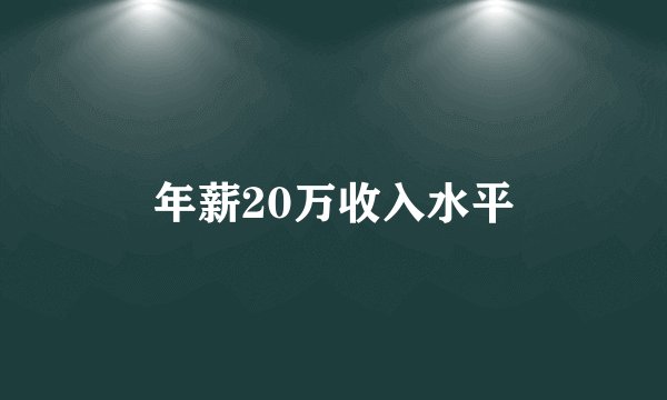 年薪20万收入水平