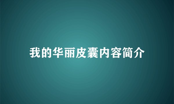 我的华丽皮囊内容简介