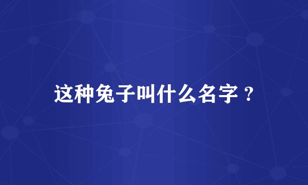 这种兔子叫什么名字 ?
