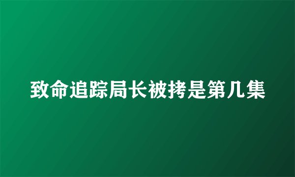 致命追踪局长被拷是第几集