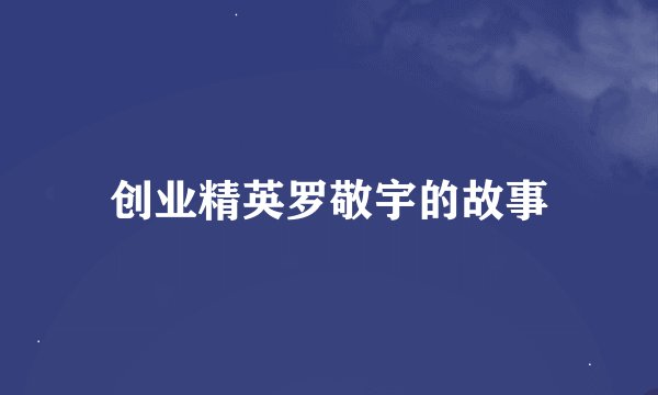 创业精英罗敬宇的故事