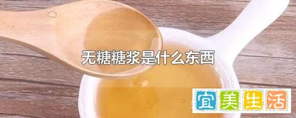 什么是无糖糖浆？