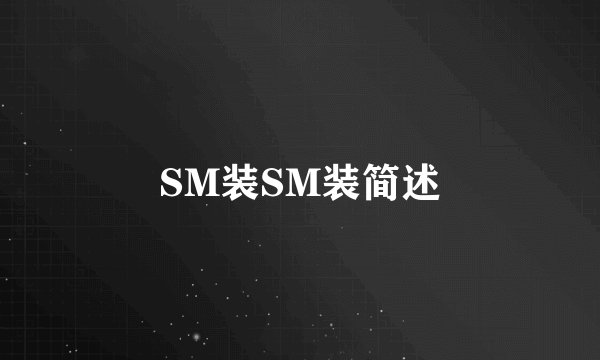 SM装SM装简述