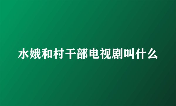 水娥和村干部电视剧叫什么