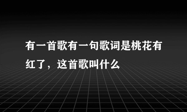 有一首歌有一句歌词是桃花有红了，这首歌叫什么