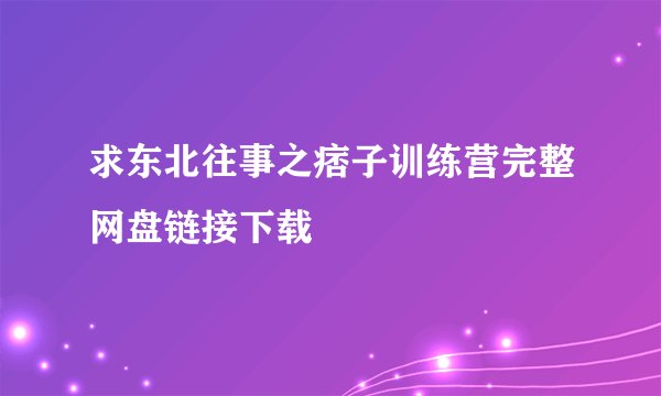 求东北往事之痞子训练营完整网盘链接下载