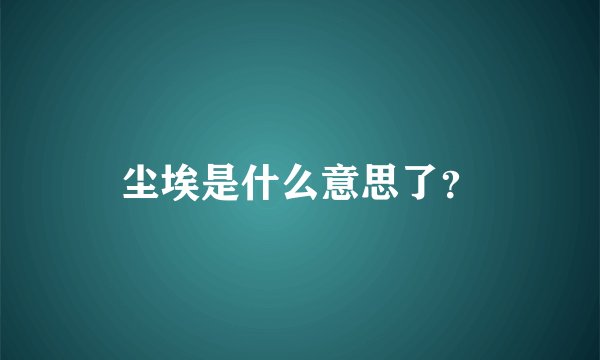 尘埃是什么意思了？