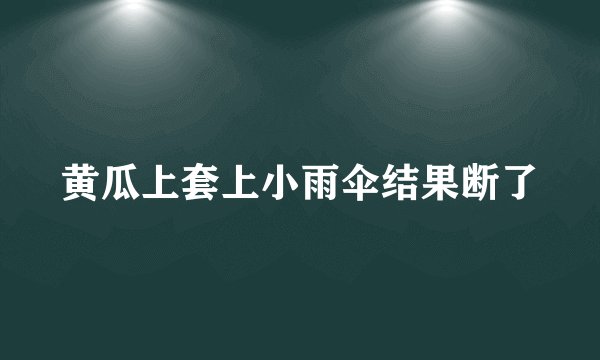 黄瓜上套上小雨伞结果断了