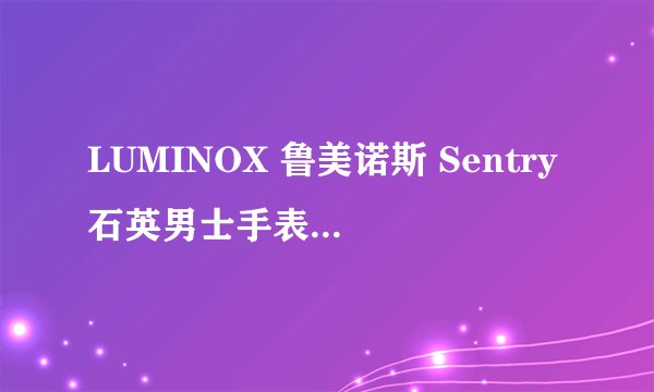LUMINOX 鲁美诺斯 Sentry石英男士手表 XL.0201.BO