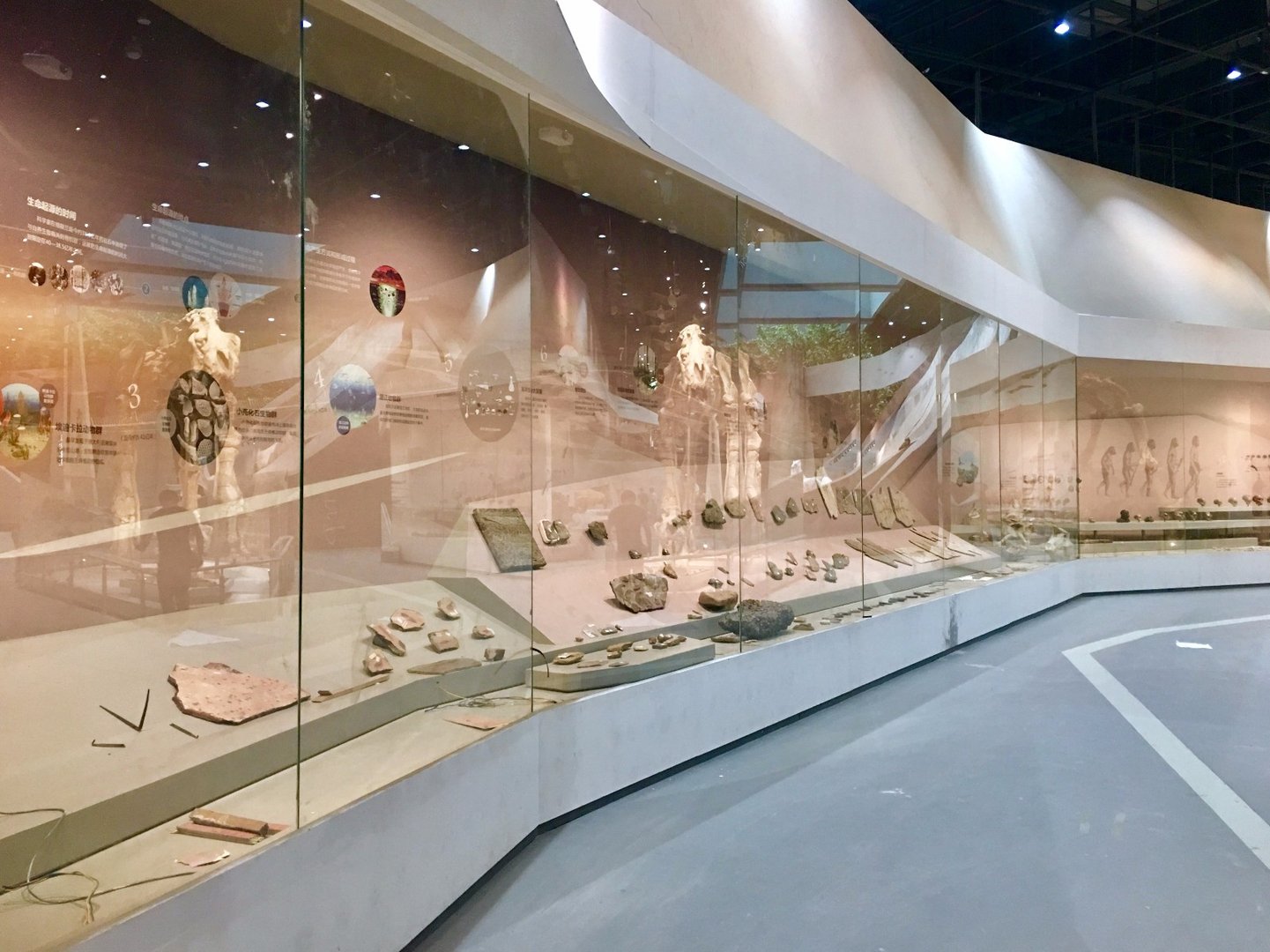 武汉生命文化博物馆展品