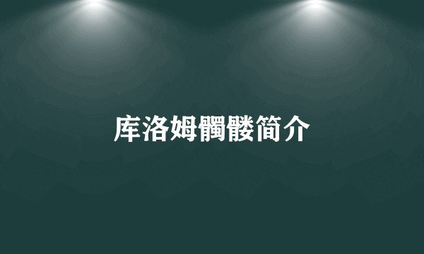 库洛姆髑髅简介