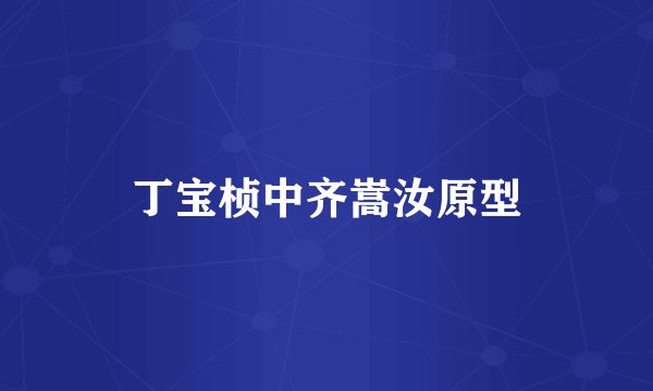 丁宝桢中齐嵩汝原型