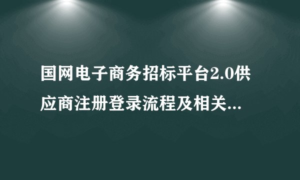 国网电子商务招标平台2.0供应商注册登录流程及相关注意事项