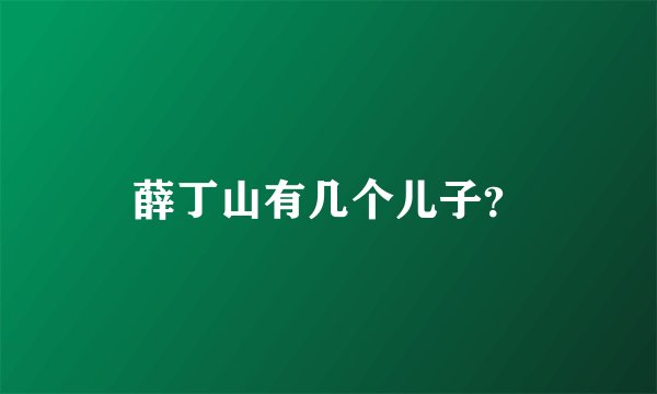 薛丁山有几个儿子？
