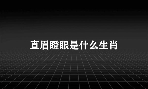 直眉瞪眼是什么生肖
