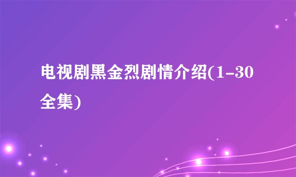 电视剧黑金烈剧情介绍(1-30全集)