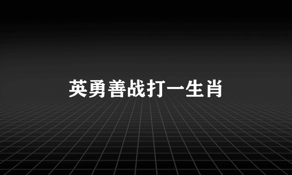 英勇善战打一生肖