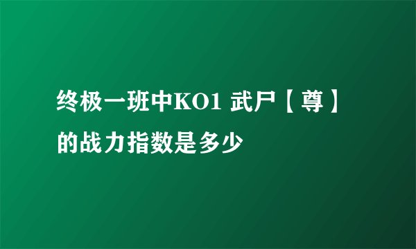 终极一班中KO1 武尸【尊】的战力指数是多少