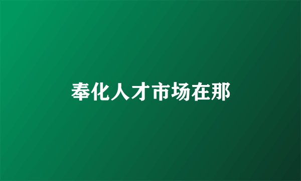 奉化人才市场在那