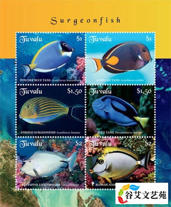 岛——图卢瓦环礁（Tuvalu Atoll）