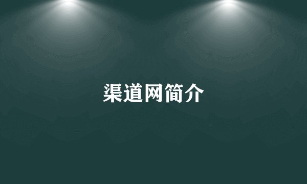 渠道网简介