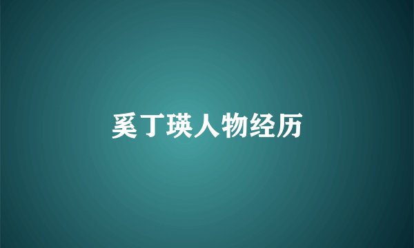奚丁瑛人物经历