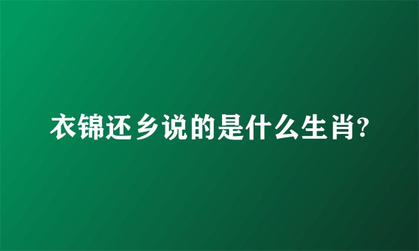 衣锦还乡说的是什么生肖?