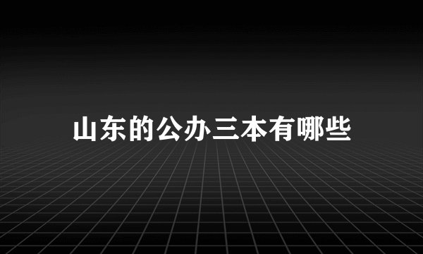 山东的公办三本有哪些