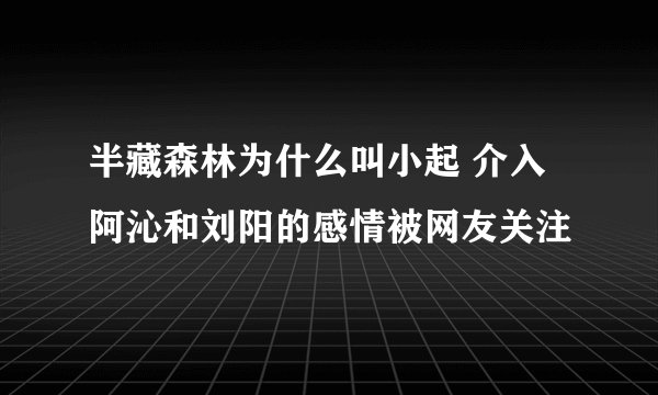 半藏森林为什么叫小起 介入阿沁和刘阳的感情被网友关注