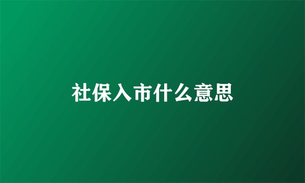 社保入市什么意思