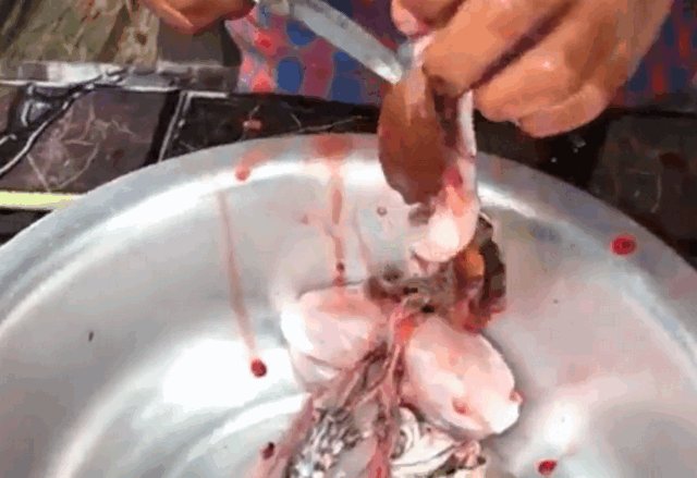 怎么杀青蛙？